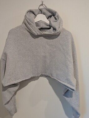 Express Light Gray Cropped Hooded Sweatshirt Classic Pullover (size M)